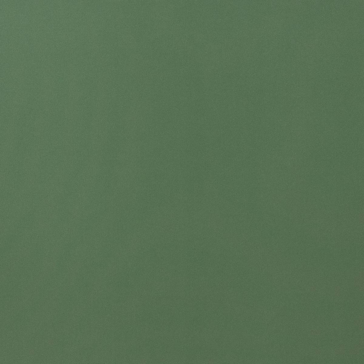 TOU 74 BASIL TOU 74 BASIL