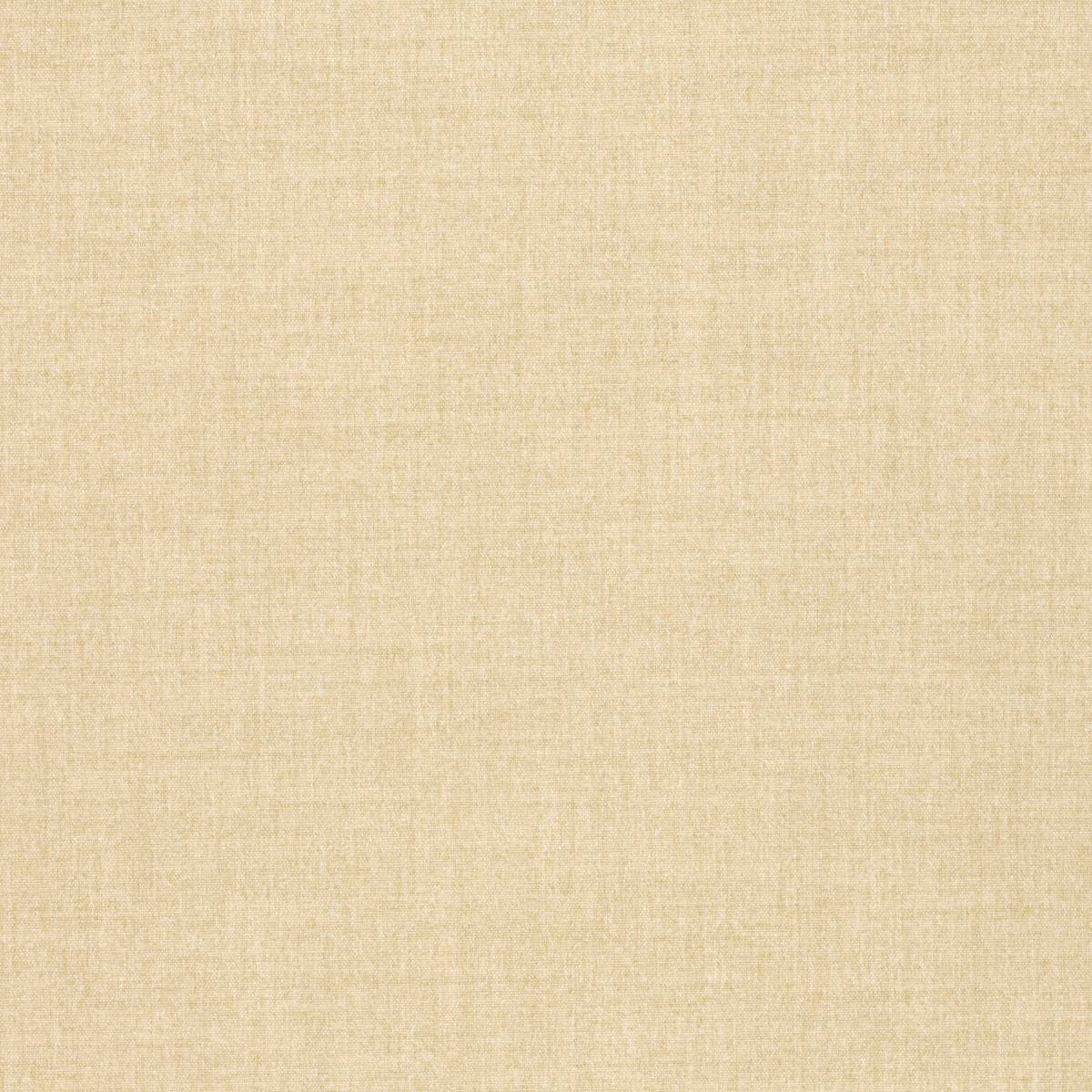 63699 ALPACA 63699 ALPACA