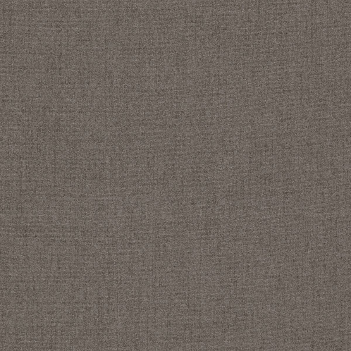 63704 CHINCHILLA 63704 CHINCHILLA