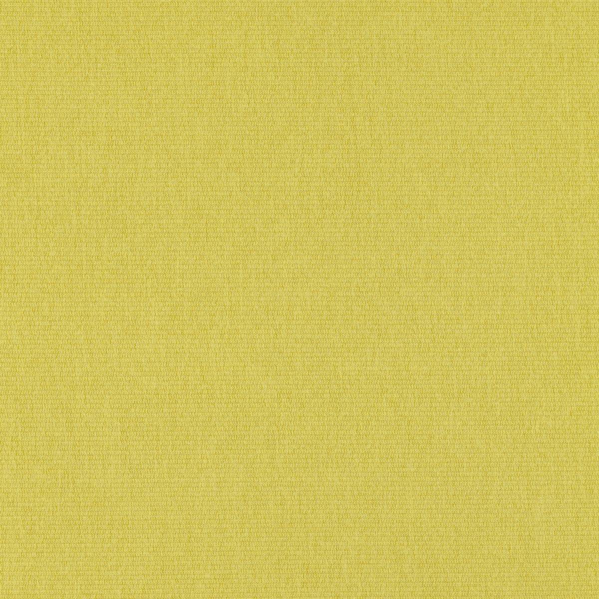 INX 65 CARDAMOM INX 65 CARDAMOM