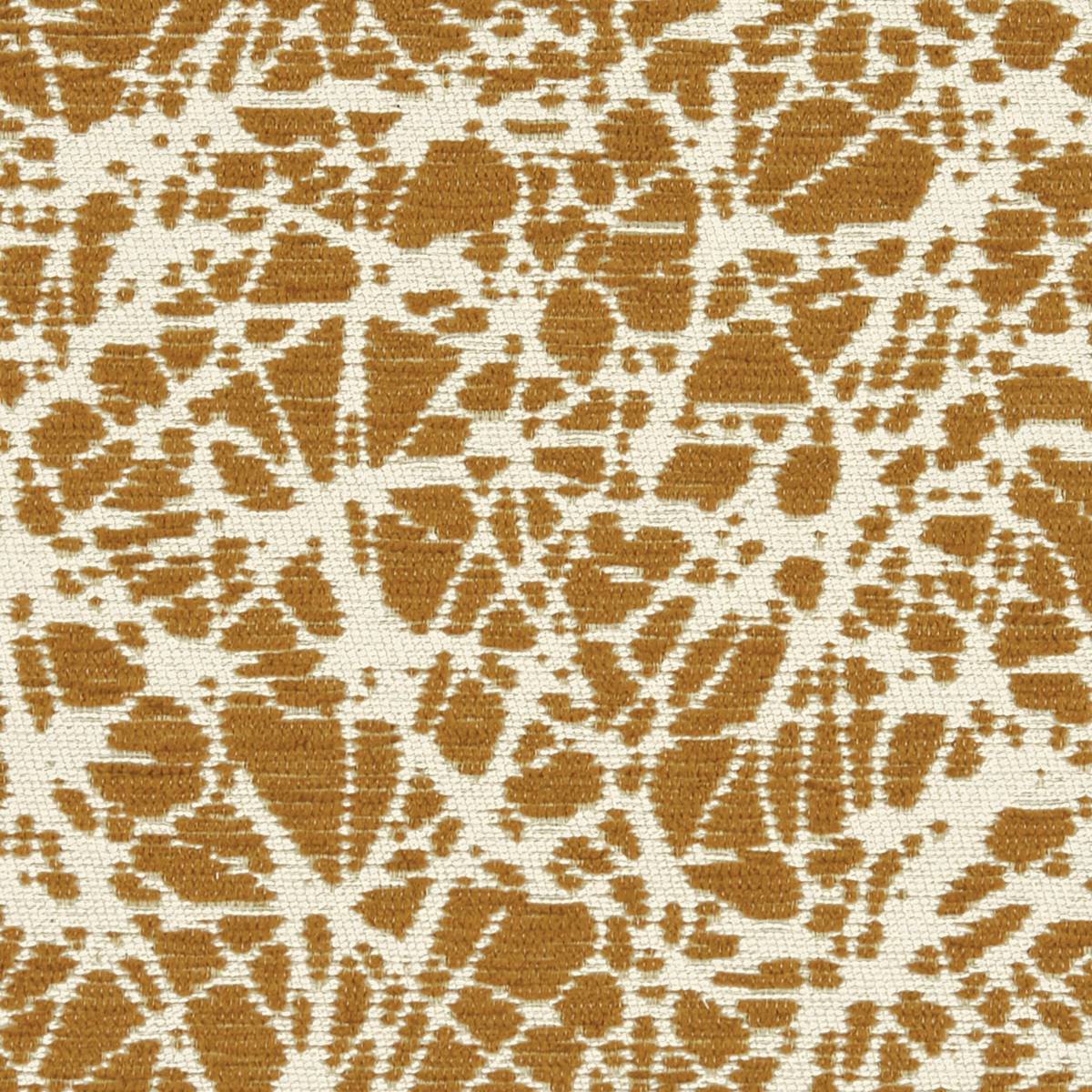 1010464 AMBER 1010464 AMBER