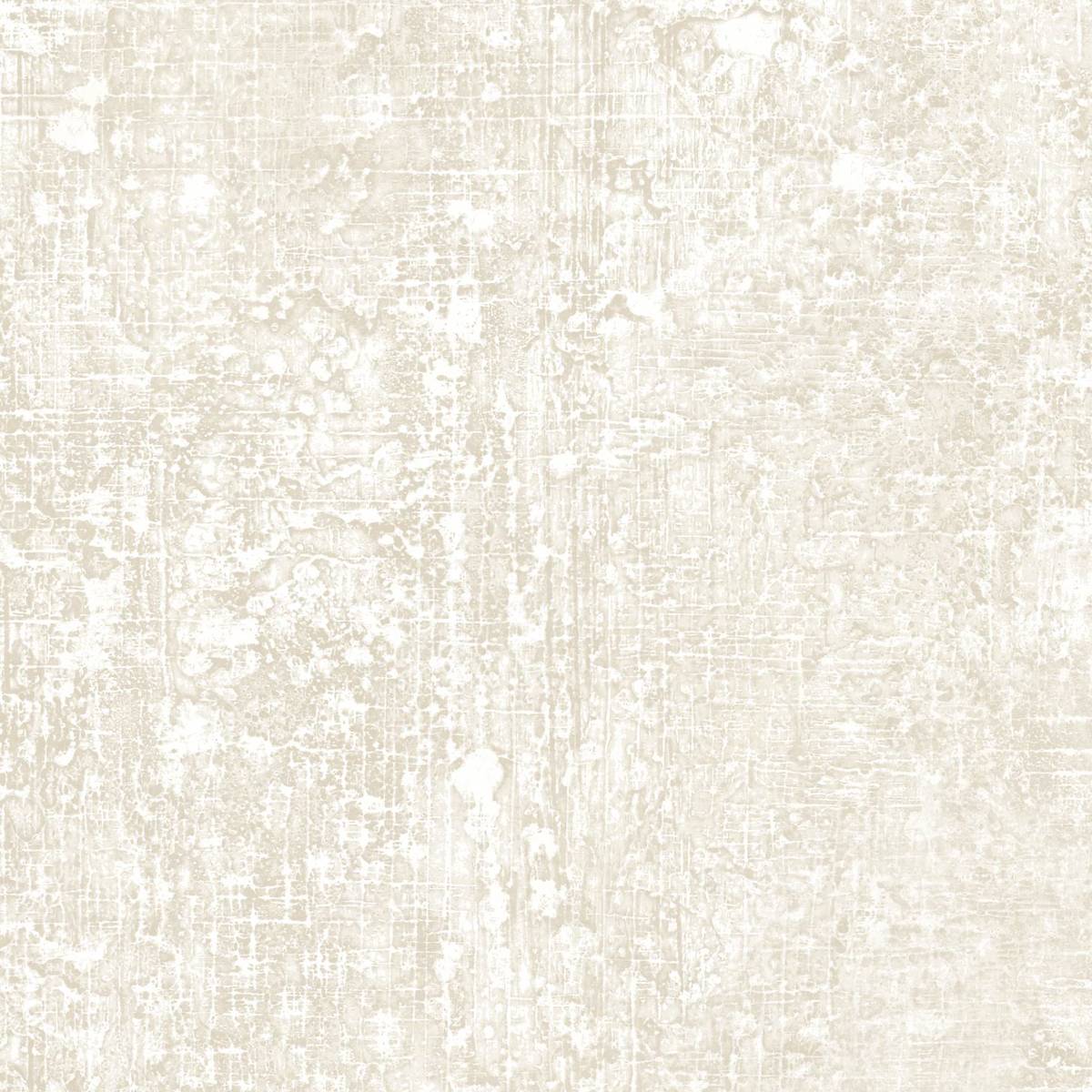JN21-01 PAPER BIRCH JN21-01 PAPER BIRCH