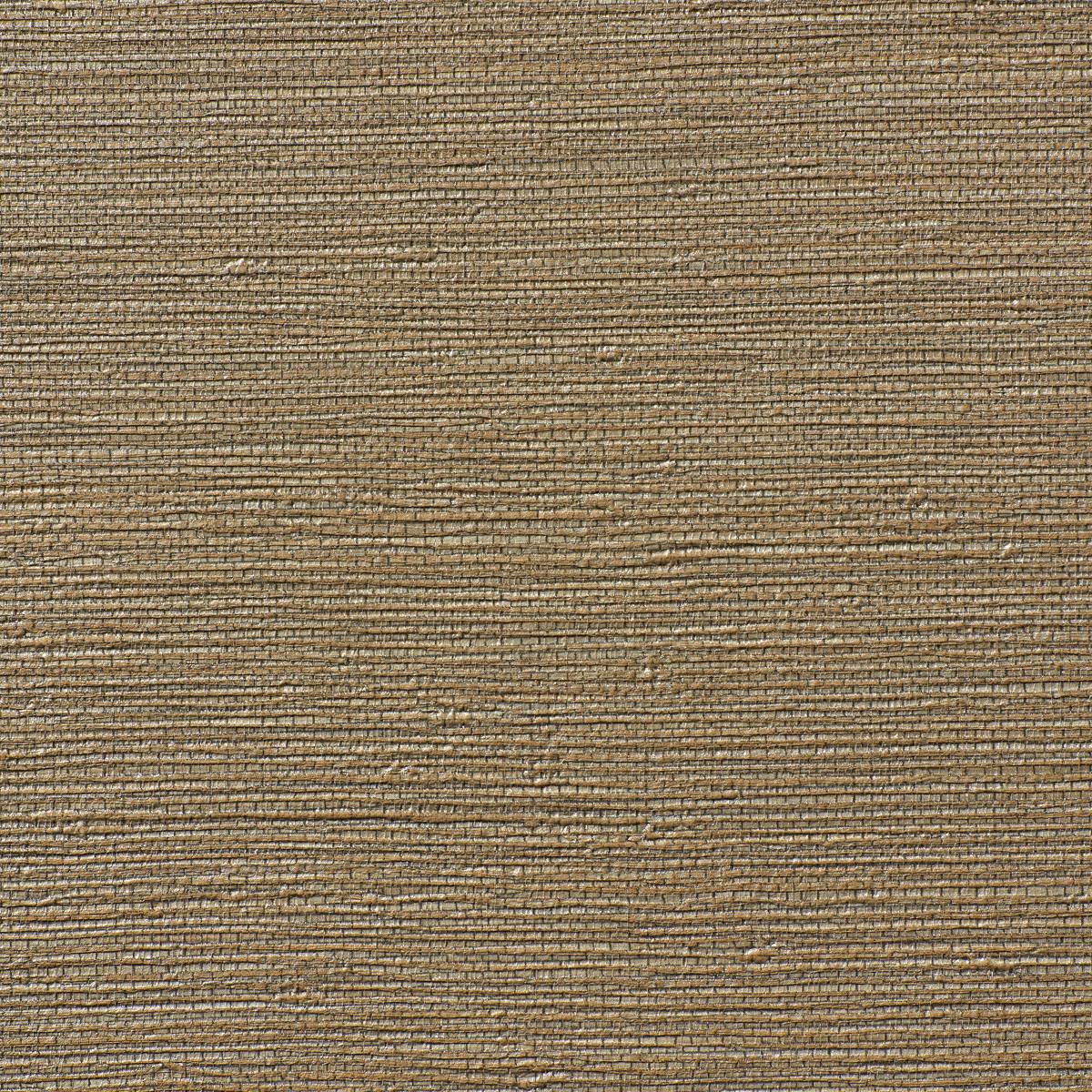 BB-KG-08 WETLANDS BB-KG-08 WETLANDS