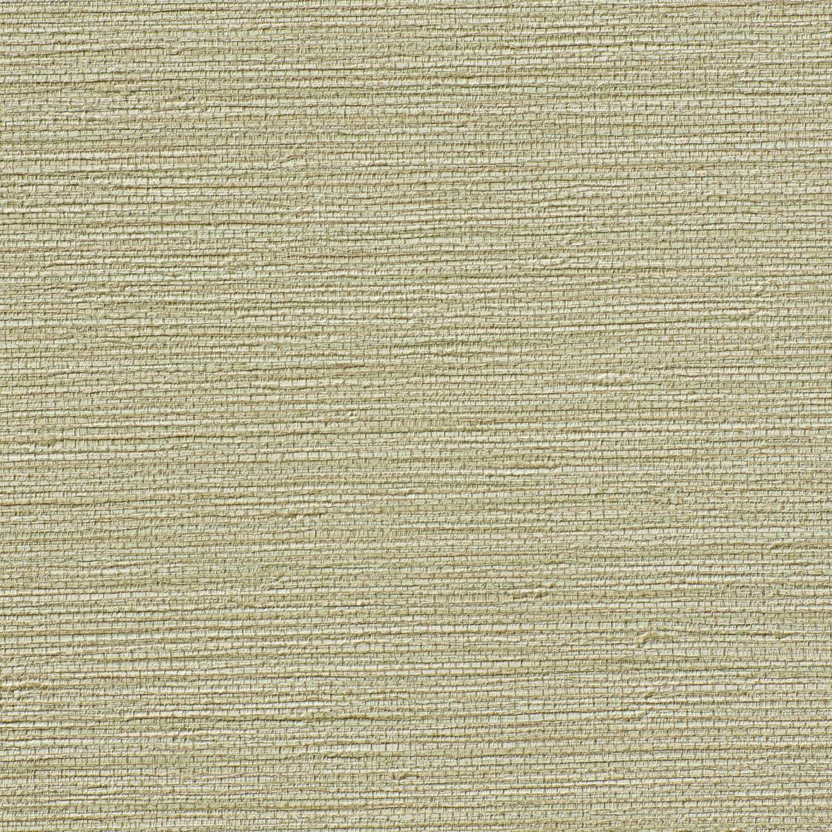 BB-KG-11 BAMBOO ROOT BB-KG-11 BAMBOO ROOT