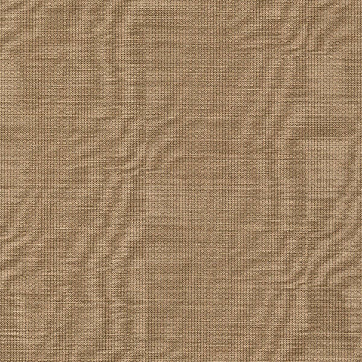 AVF16-516 CAMEL AVF16-516 CAMEL