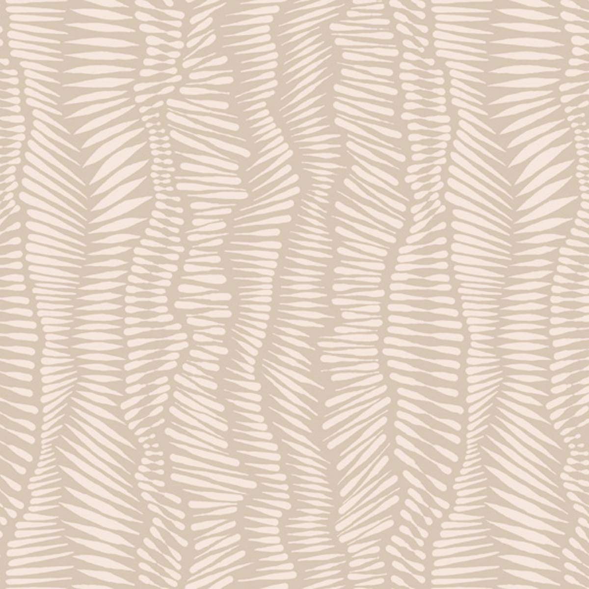 SG03-01 RICE SG03-01 RICE