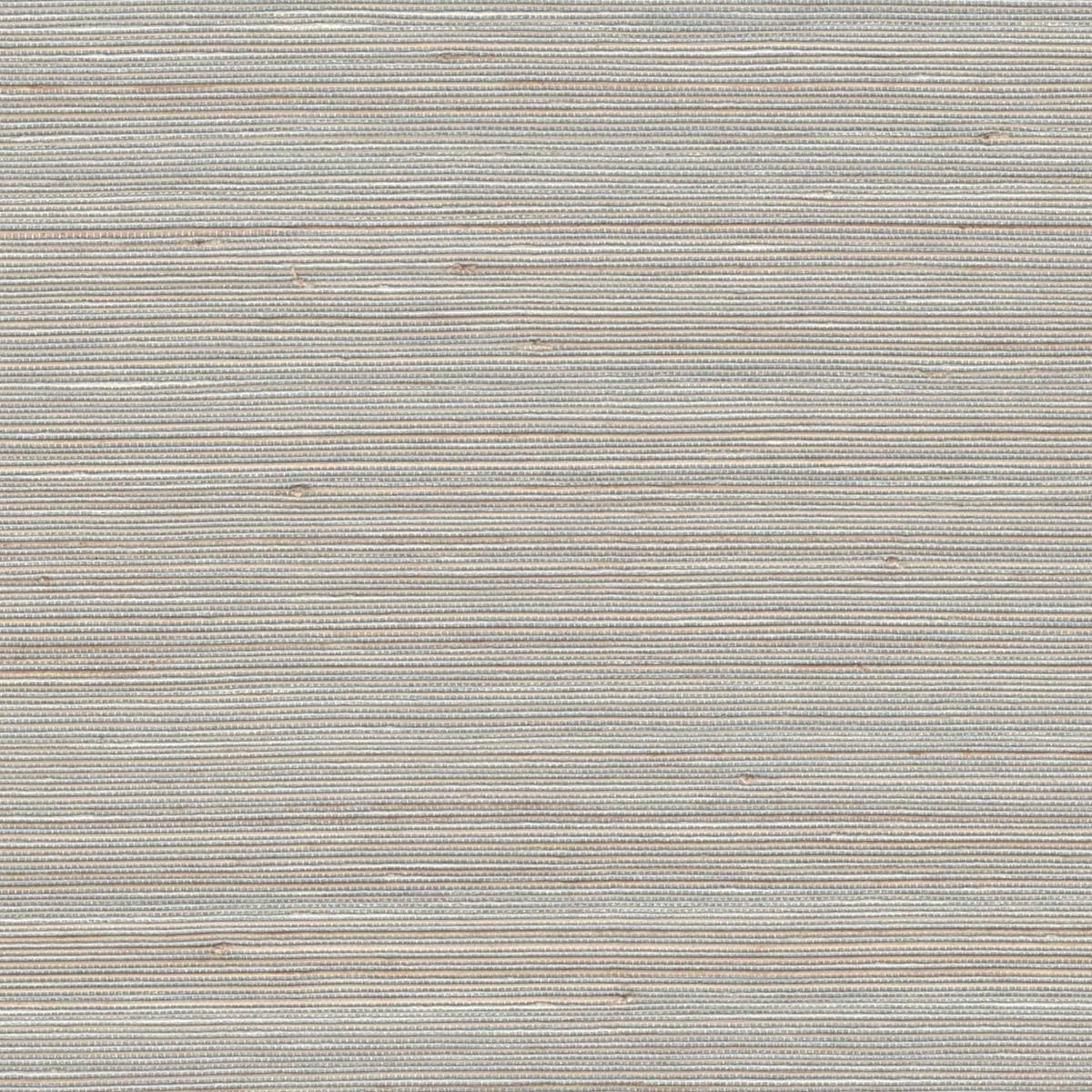 G0143NA2055 OYSTER MUSHROOM G0143NA2055 OYSTER MUSHROOM