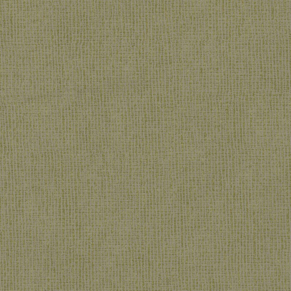 243 CACTUS 243 CACTUS