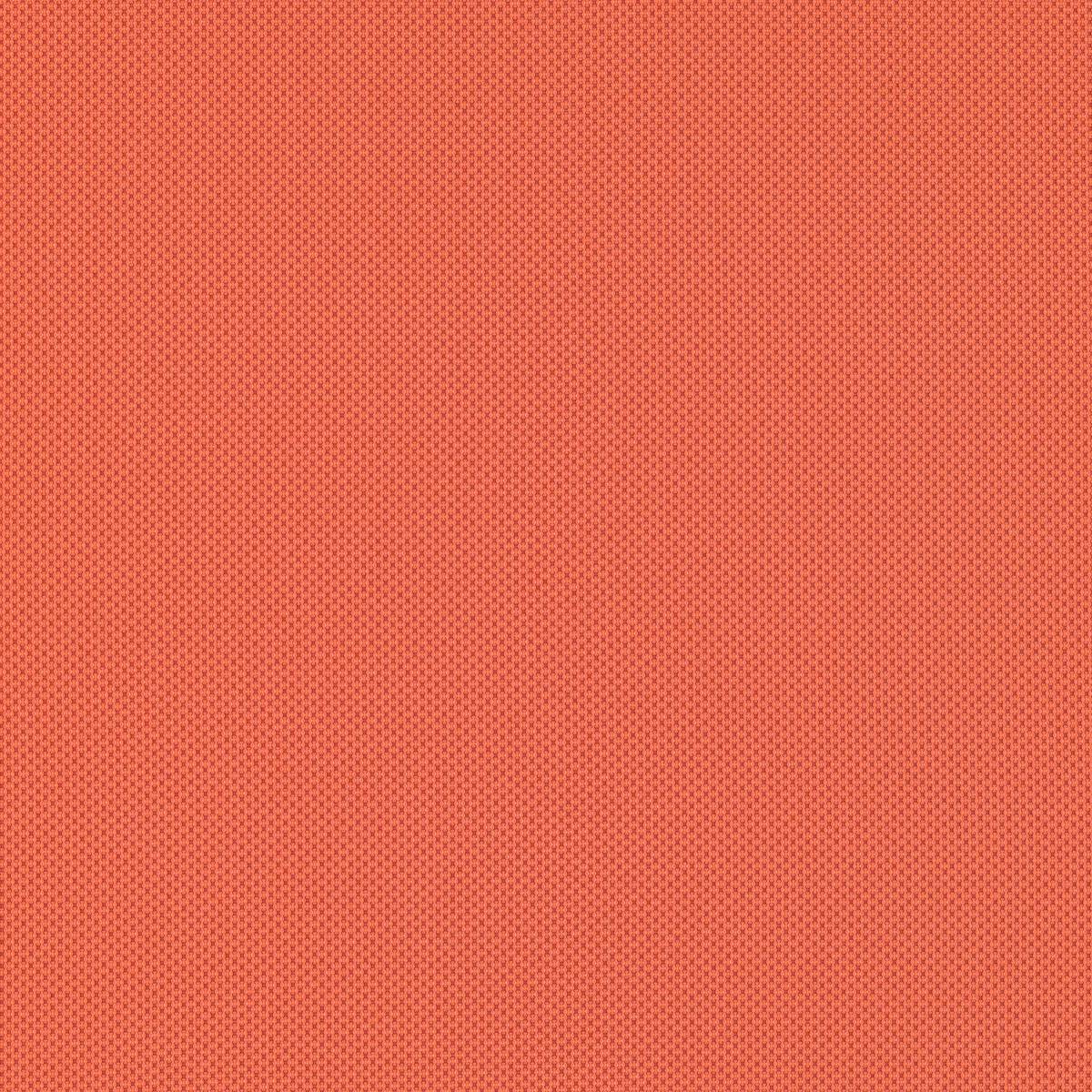 64477 REFRACTION GUAVA 64477 REFRACTION GUAVA