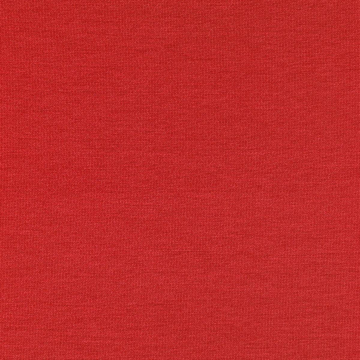 64493 SHIFT POPPY 64493 SHIFT POPPY