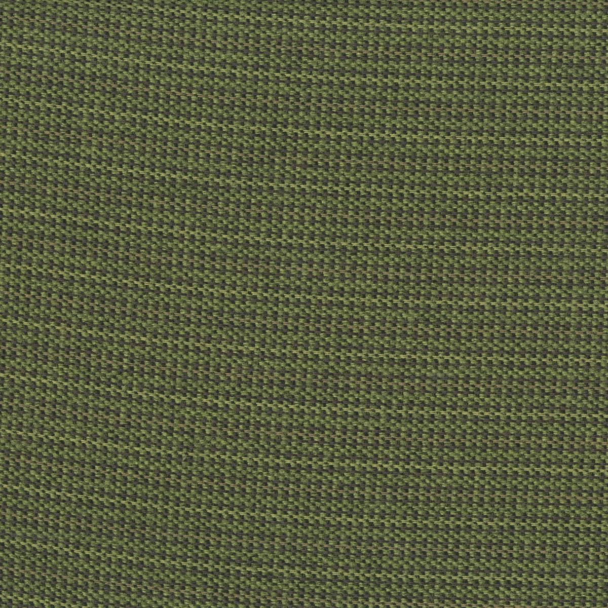 702 JUNGLE 702 JUNGLE