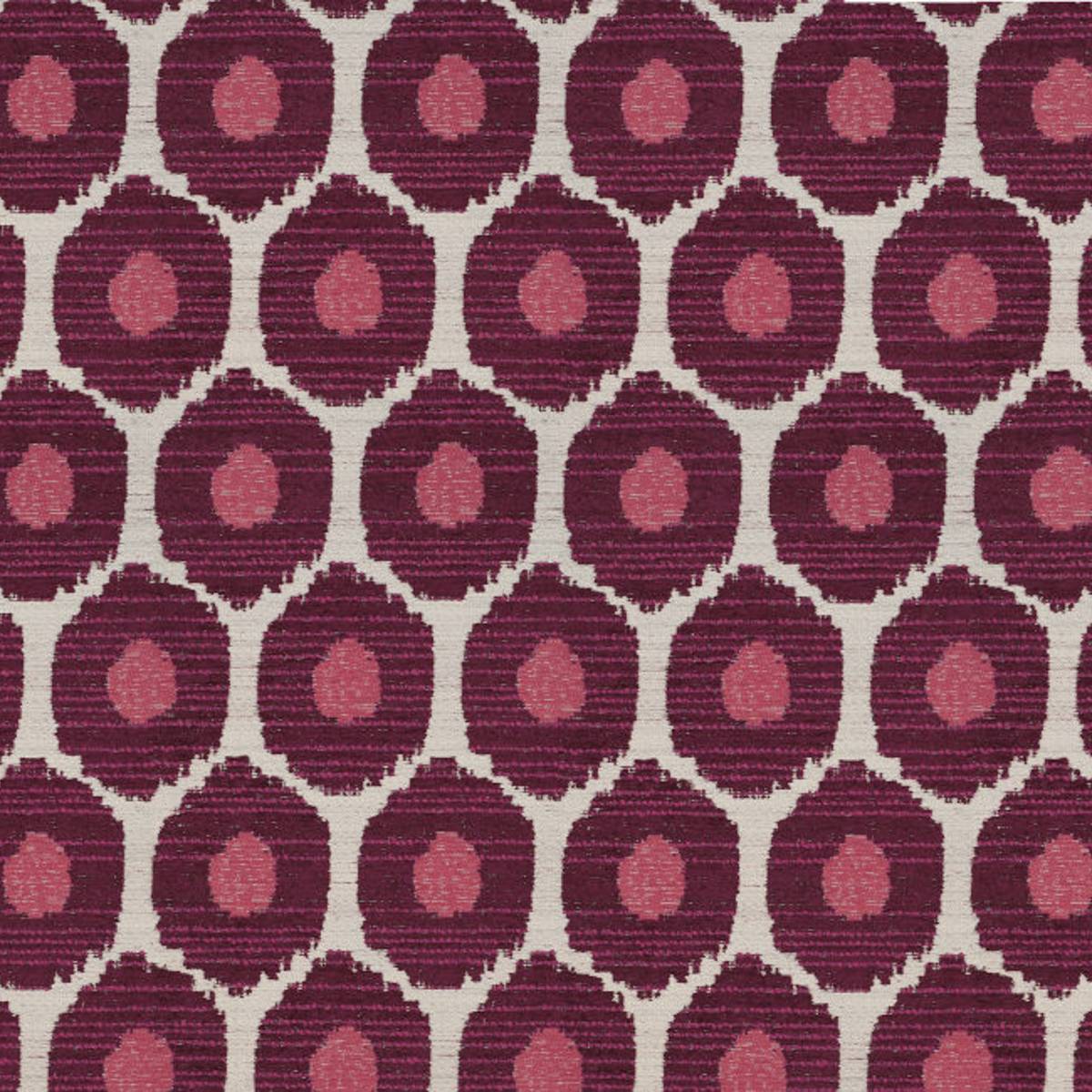 1011304 BOYSENBERRY 1011304 BOYSENBERRY