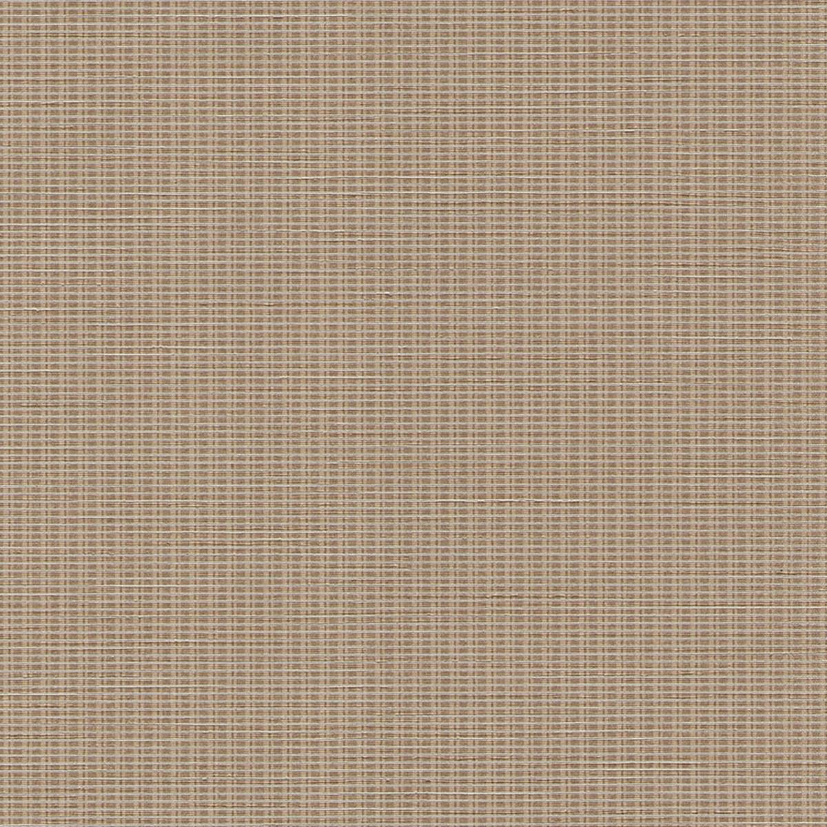 AVF17-567 DUNE AVF17-567 DUNE