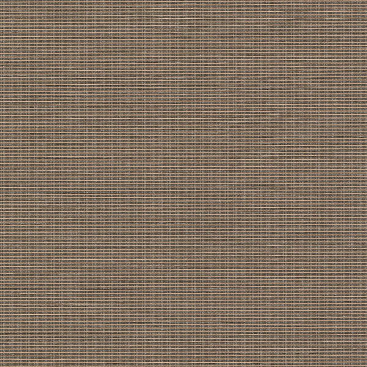 AVF17-641 CATS EYE AVF17-641 CATS EYE