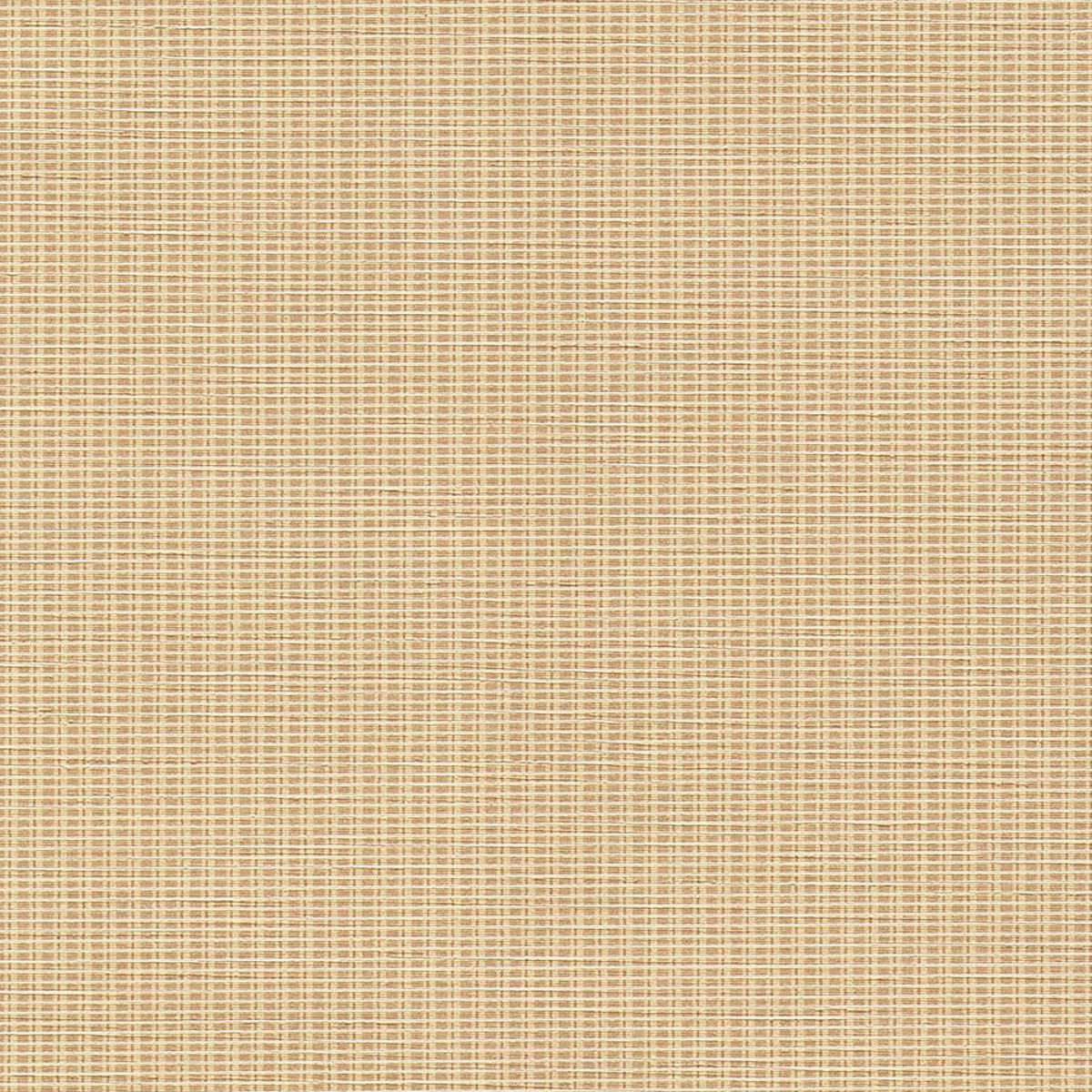 AVF17-772 HALOGEN AVF17-772 HALOGEN