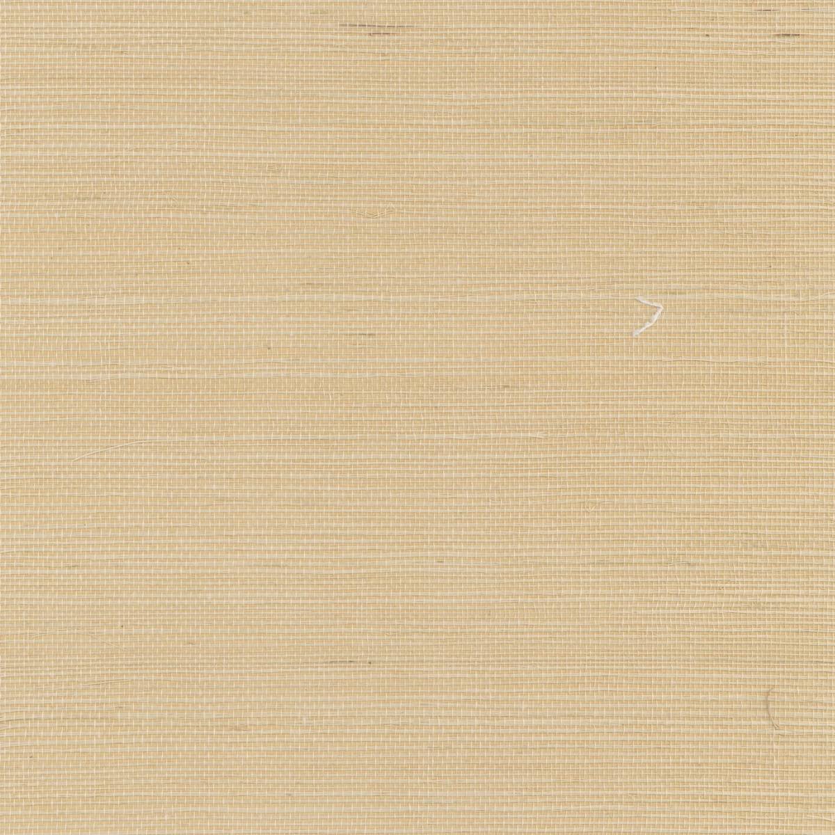 SN101198P MUSTARD SN101198P MUSTARD