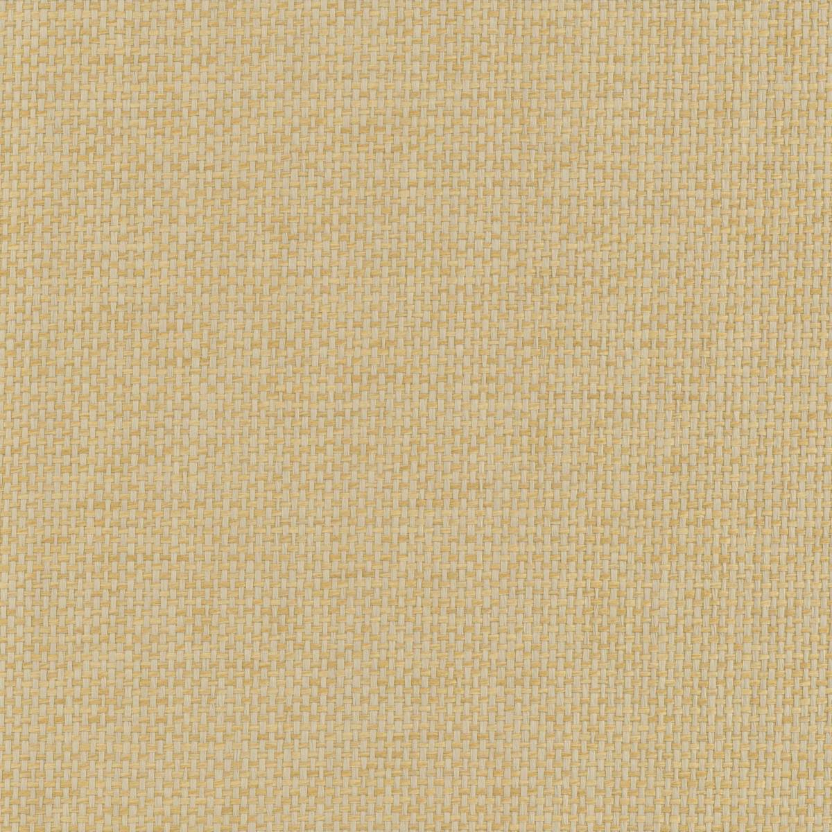 SN101204P APRICOTS SN101204P APRICOTS