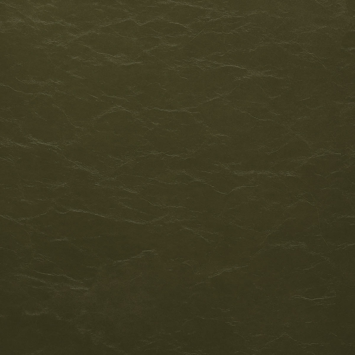 102 CACTUS 102 CACTUS