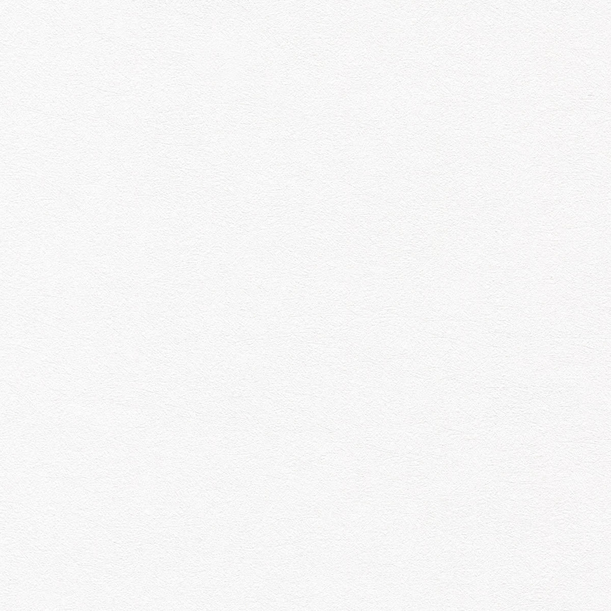 E922-01 SNOWY E922-01 SNOWY