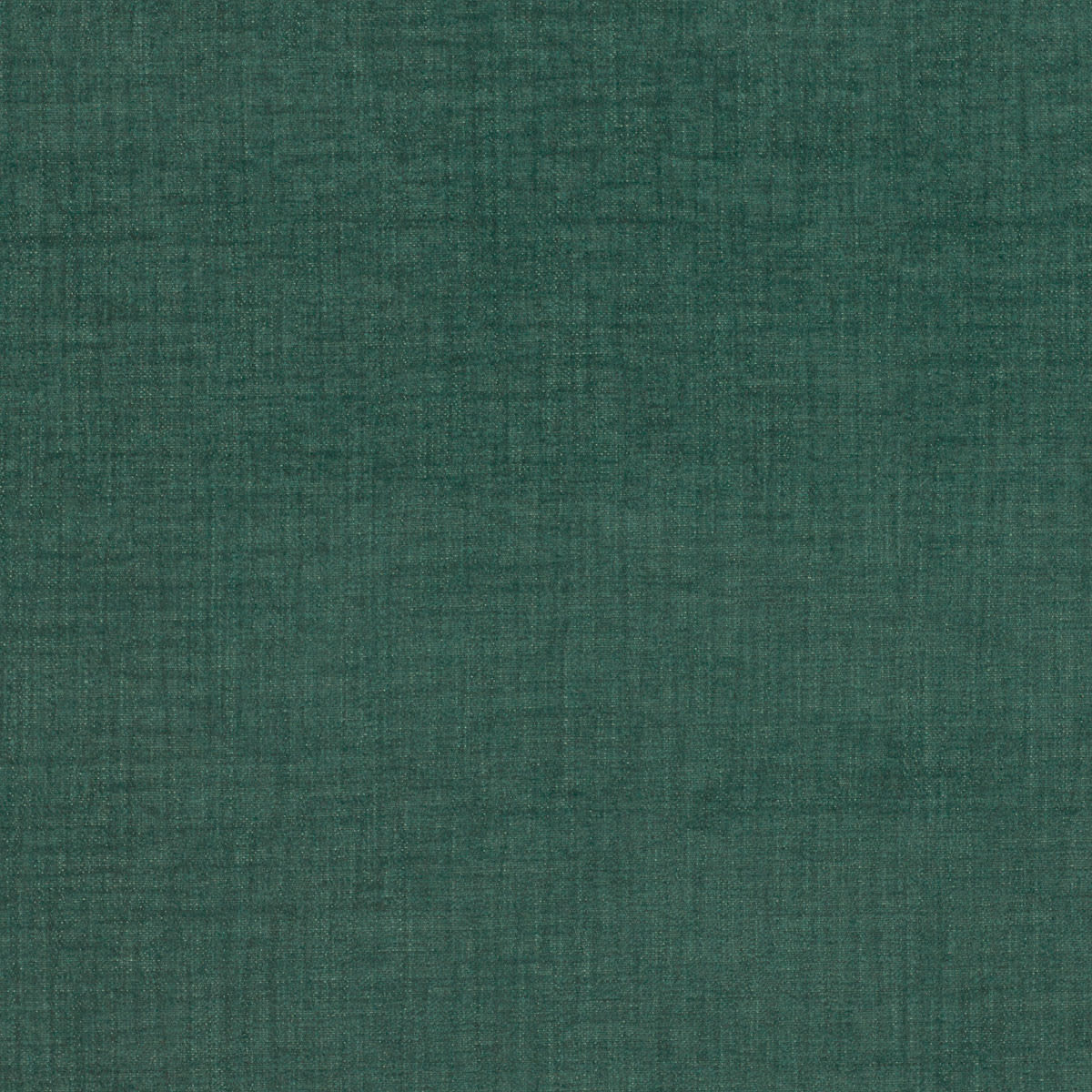 66152 HOLLY 66152 HOLLY