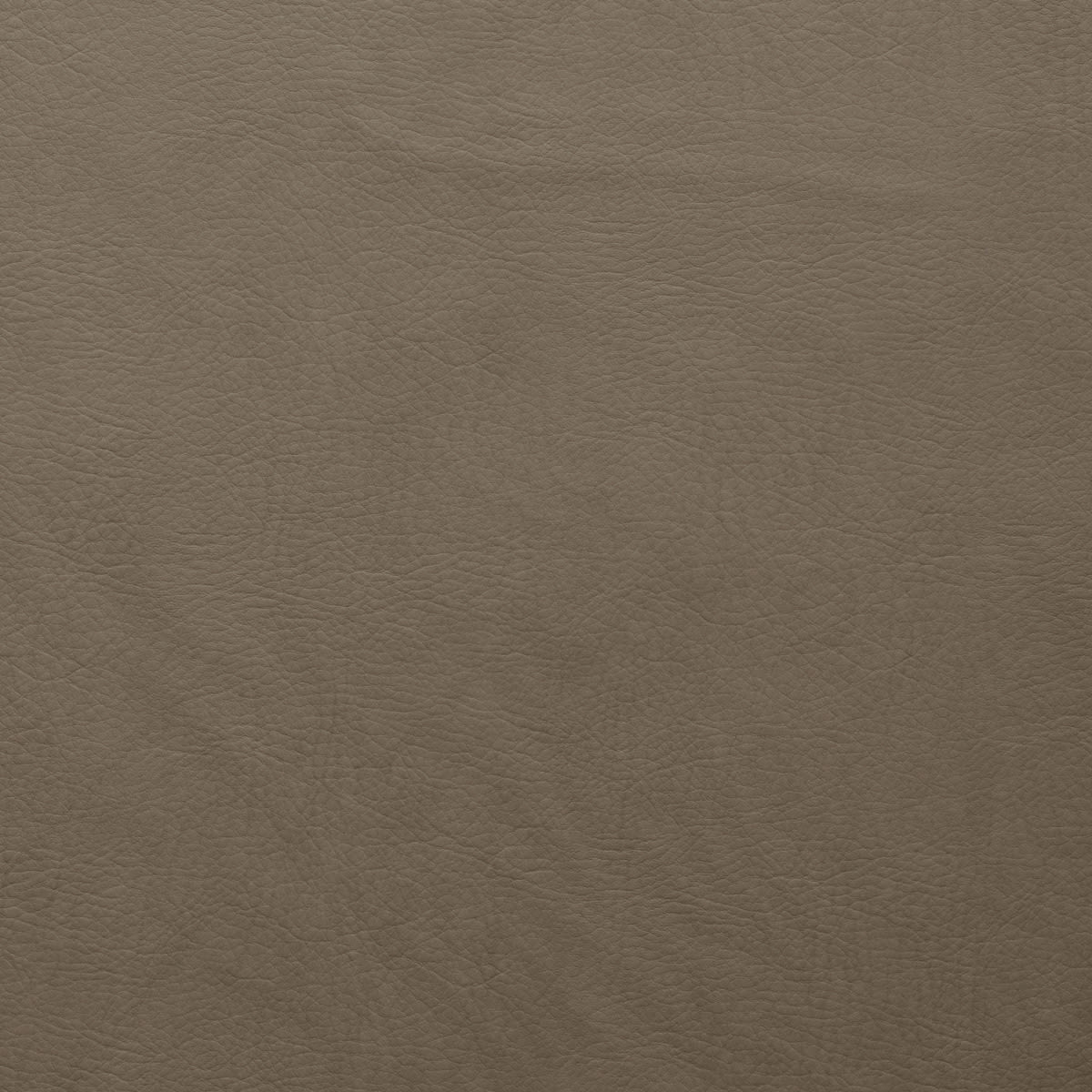 WHI-2120 ANTELOPE WHI-2120 ANTELOPE