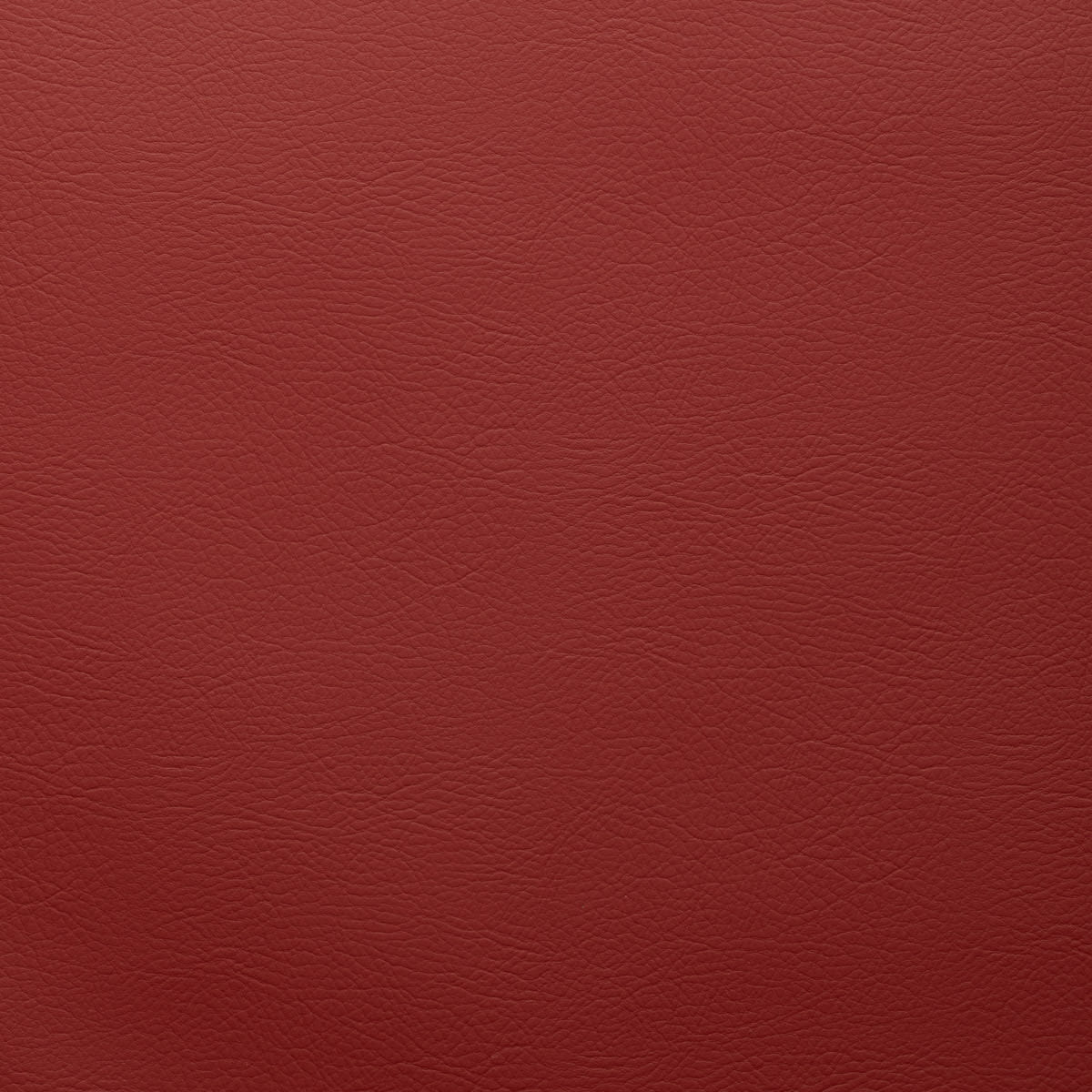 WHI-2124 SALSA WHI-2124 SALSA