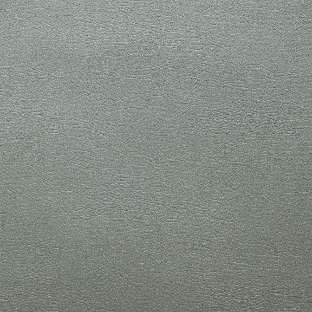 WHI-2134 PATINA WHI-2134 PATINA