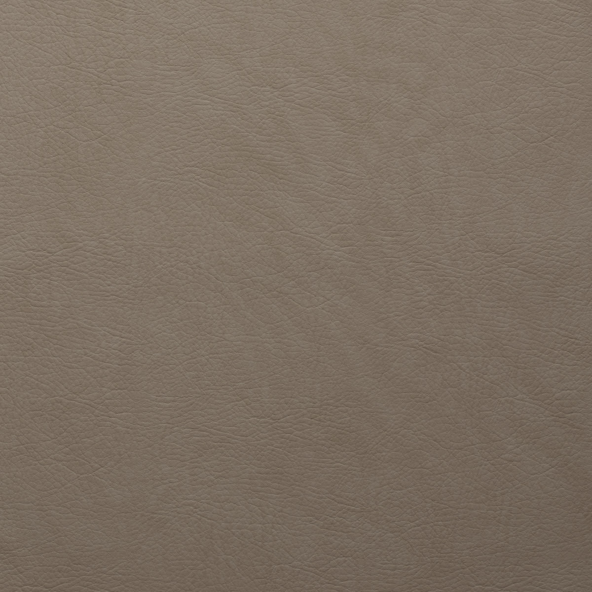 WHI-2138 ELEPHANT WHI-2138 ELEPHANT