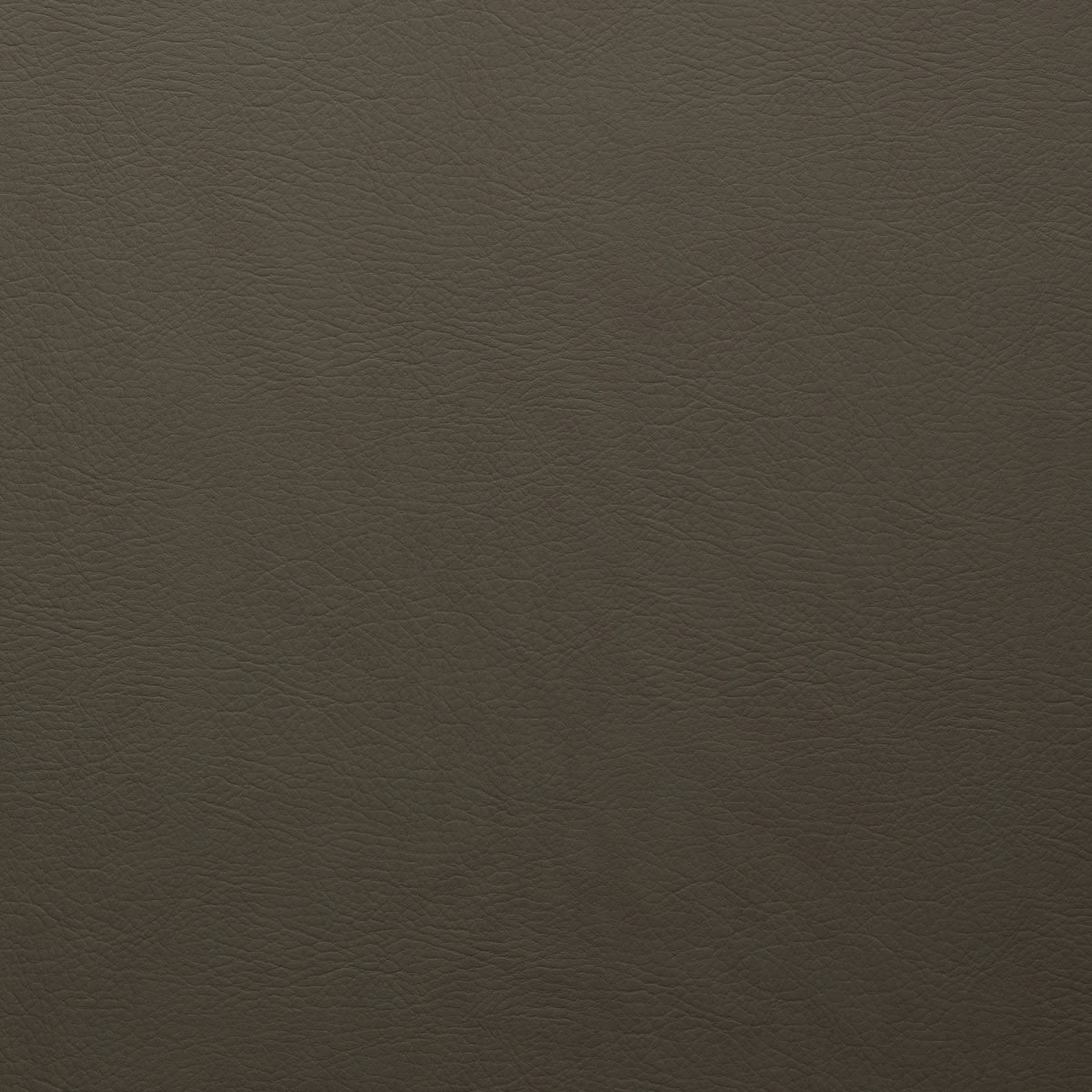 WHI-2155 STORM WHI-2155 STORM