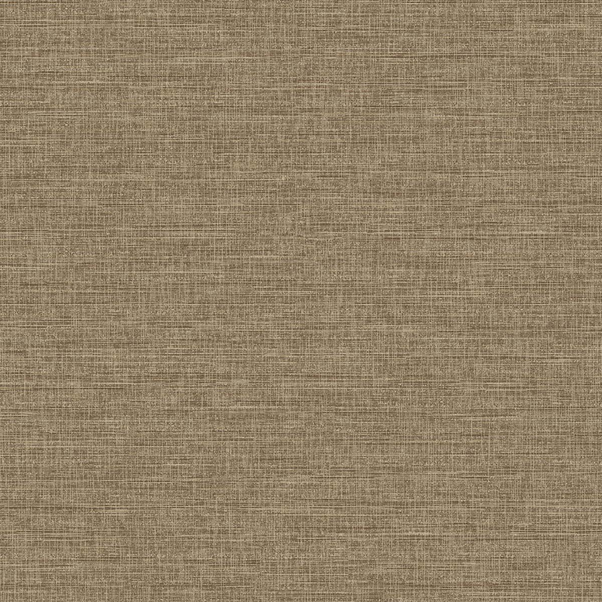 AFP04-673 Chestnut AFP04-673 Chestnut