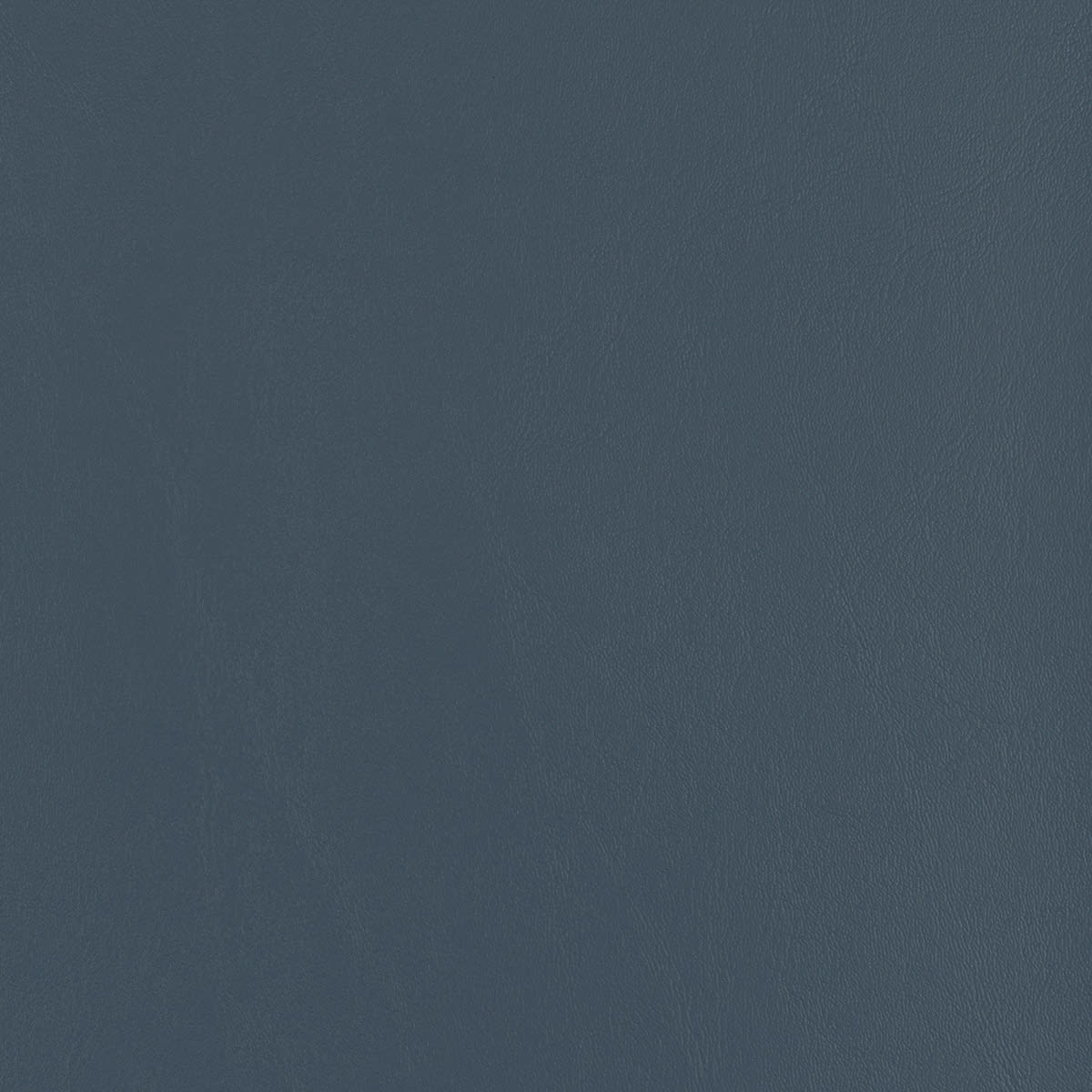 1011931 Dolphin 1011931 Dolphin