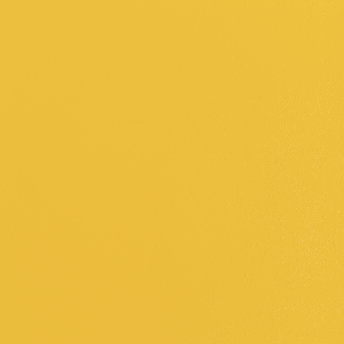 1011940 Canary 1011940 Canary