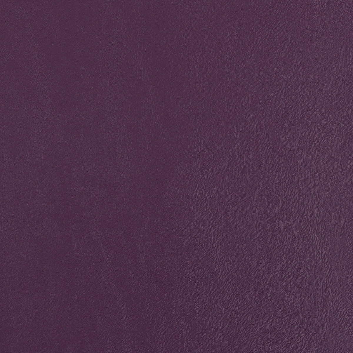 1011935 Violet 1011935 Violet