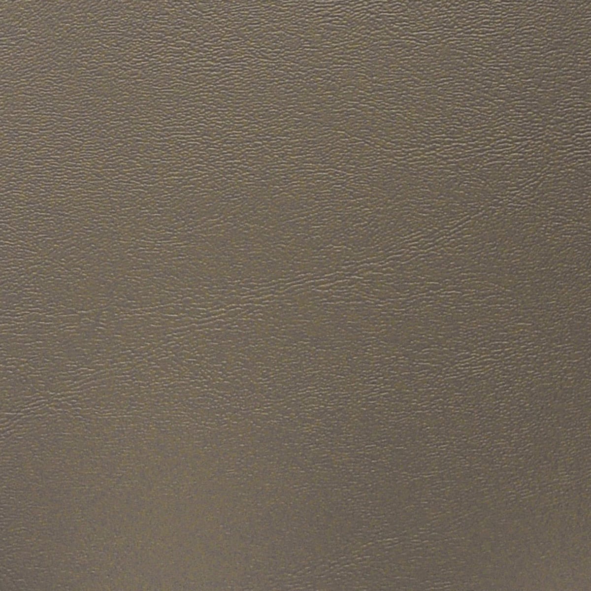 1011962 Mushroom 1011962 Mushroom