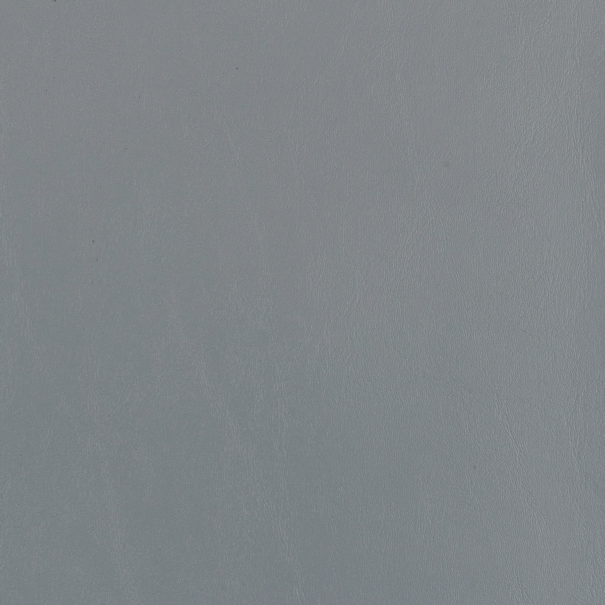 1011993 Fossil 1011993 Fossil