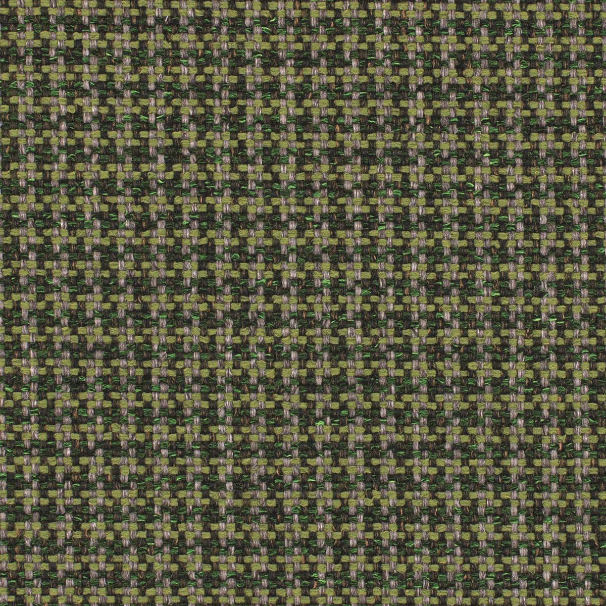 1011236 Forest 1011236 Forest