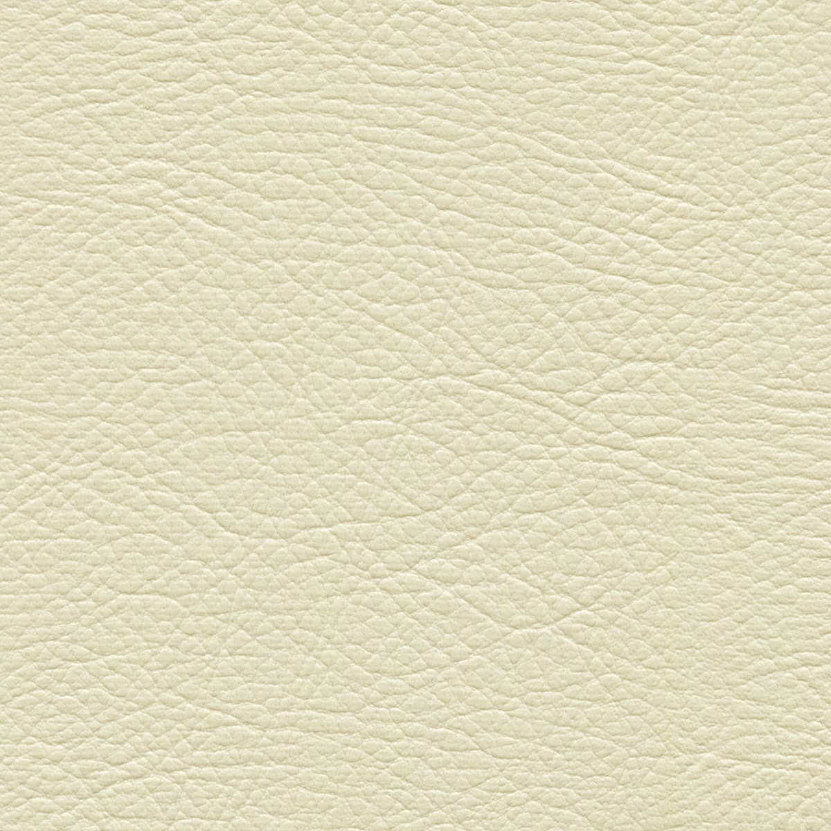 WHI-2170 POWDER WHI-2170 POWDER