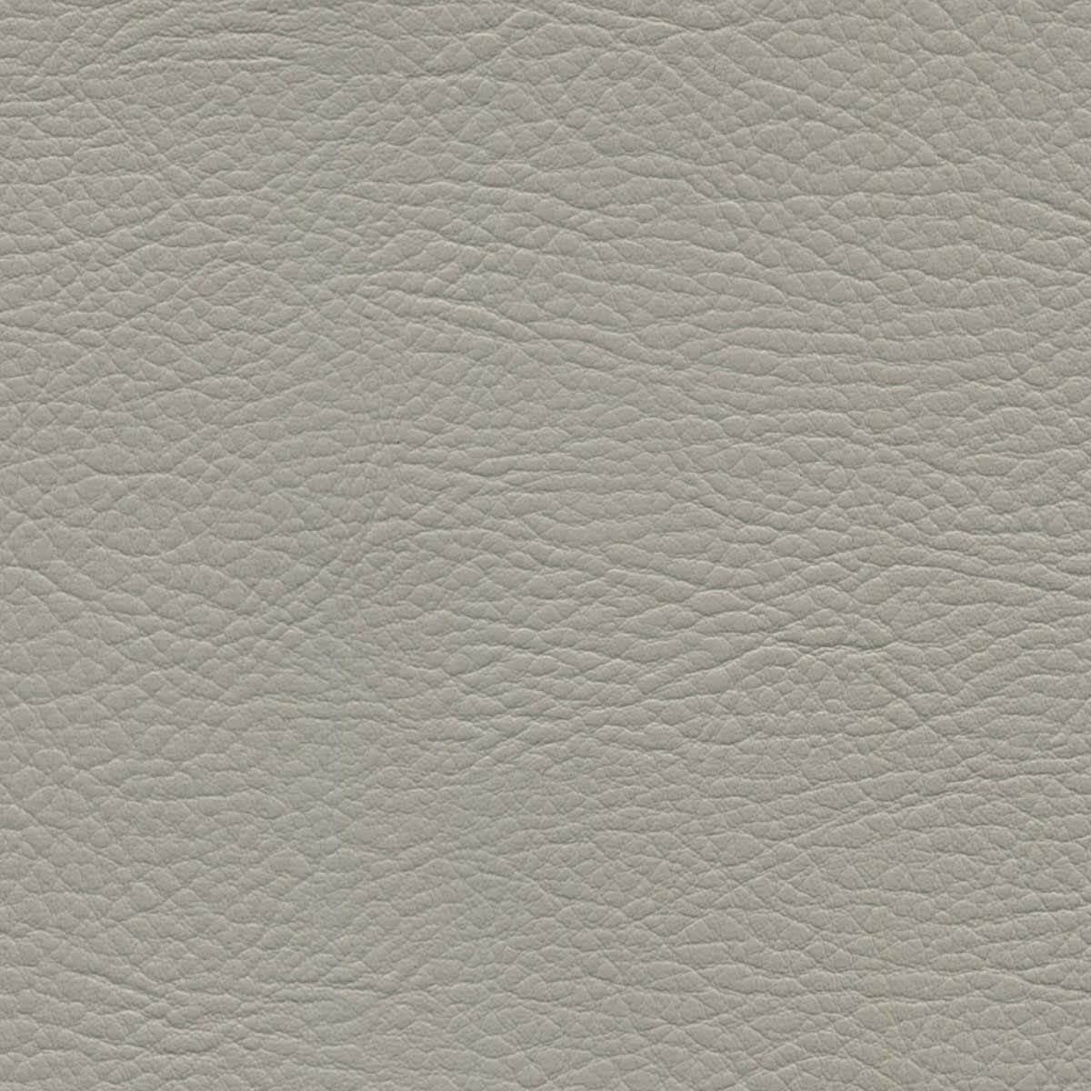 WHI-2171 PEARL WHI-2171 PEARL