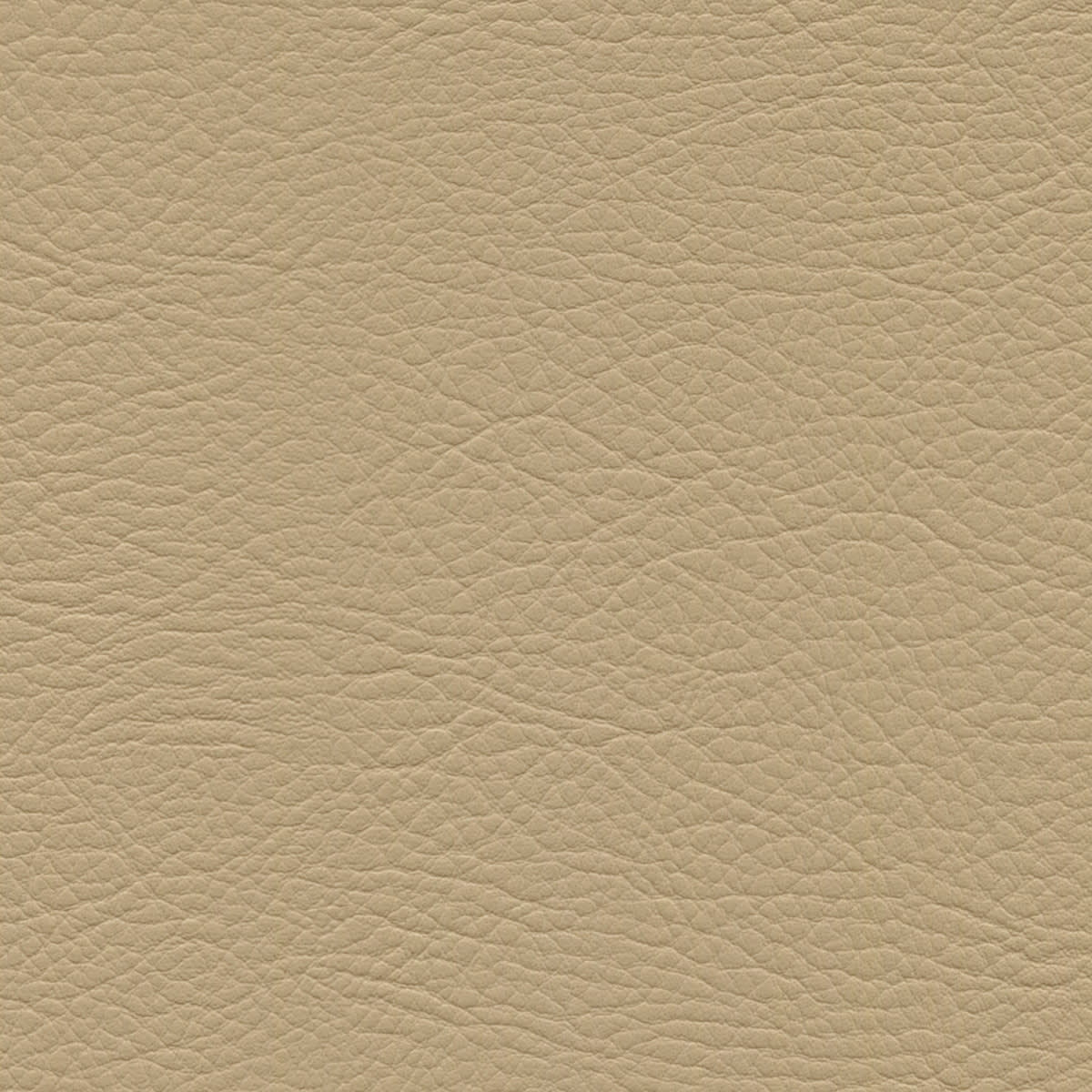 WHI-2172 SAND WHI-2172 SAND