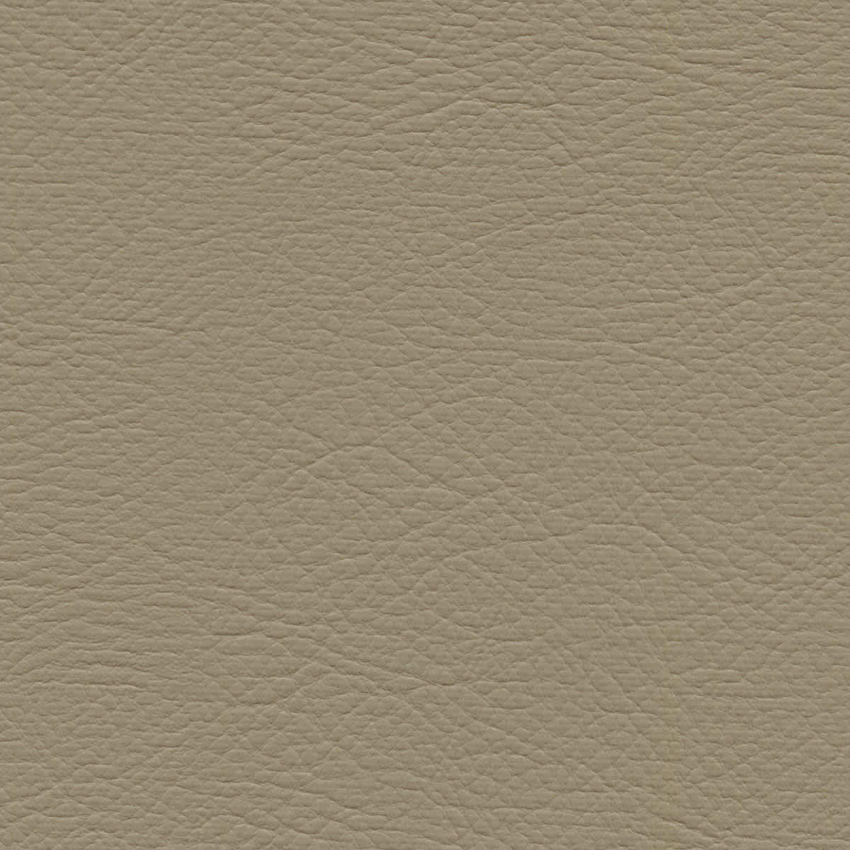 WHI-2173 FARRO WHI-2173 FARRO