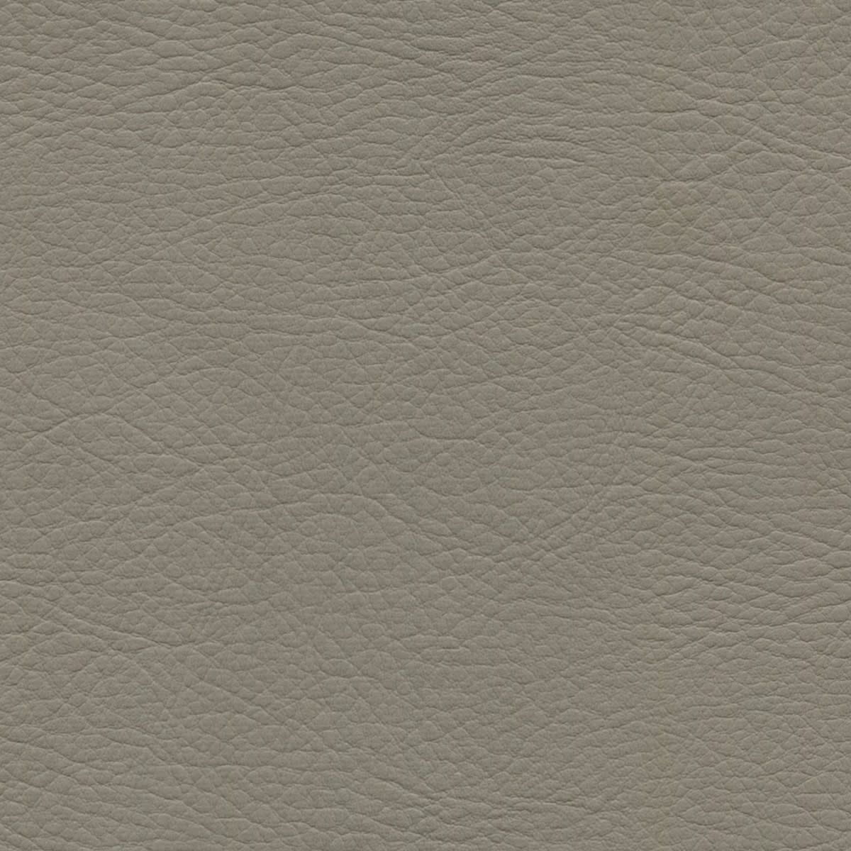 WHI-2174 PAVESTONE WHI-2174 PAVESTONE