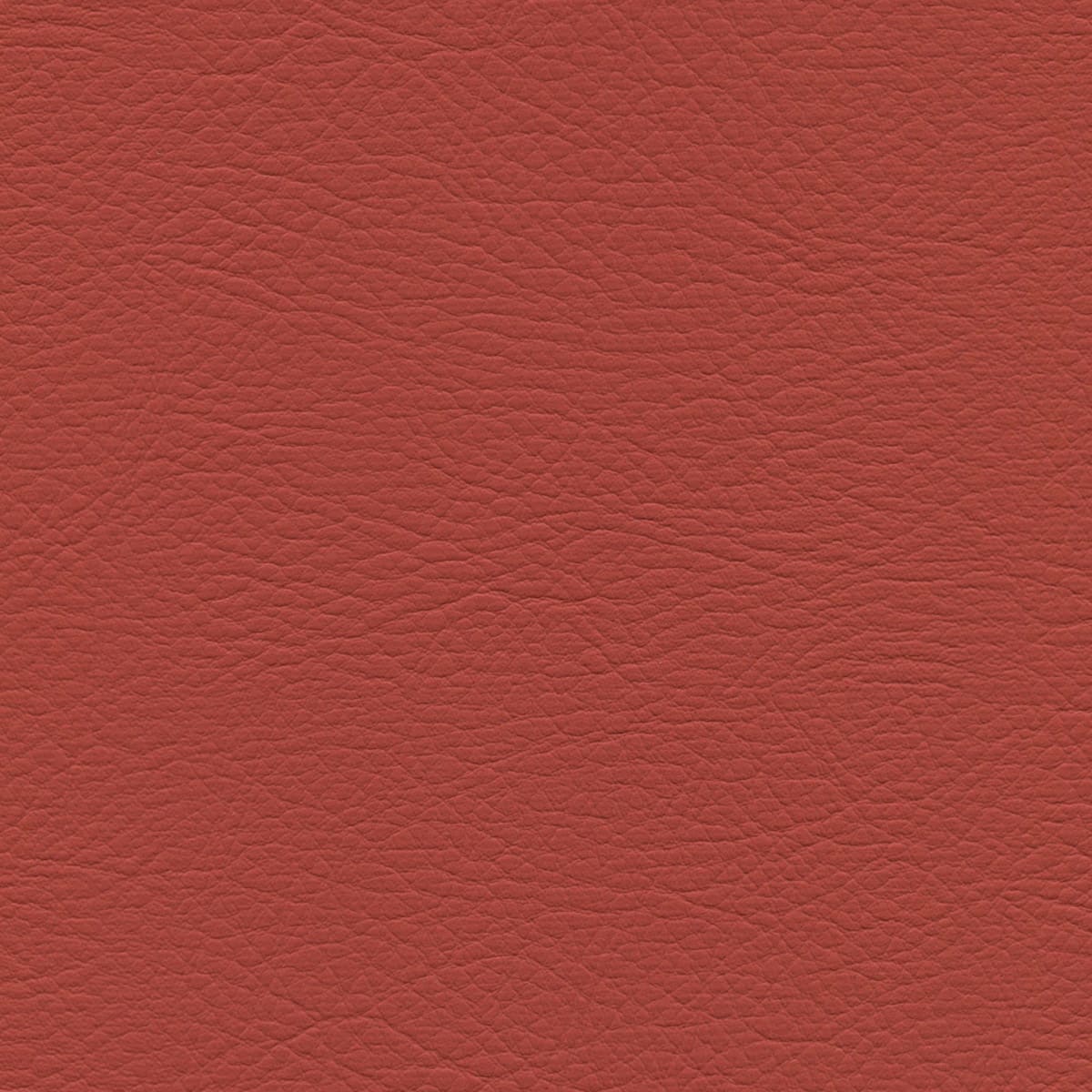 WHI-2175 TERRACOTTA WHI-2175 TERRACOTTA