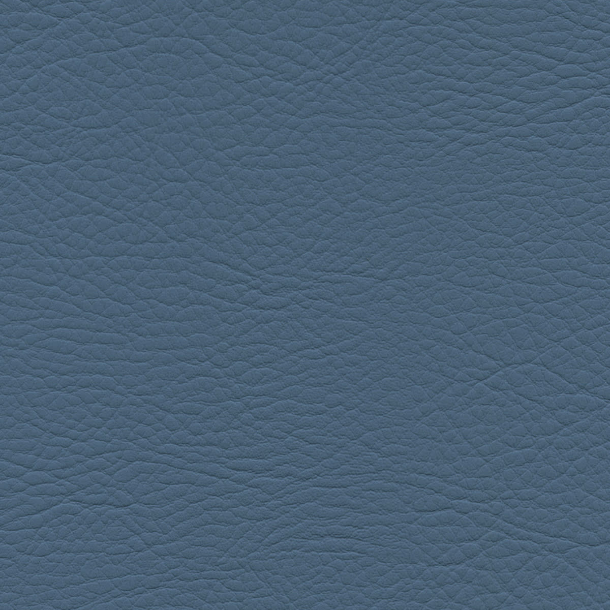 WHI-2177 ISLET WHI-2177 ISLET