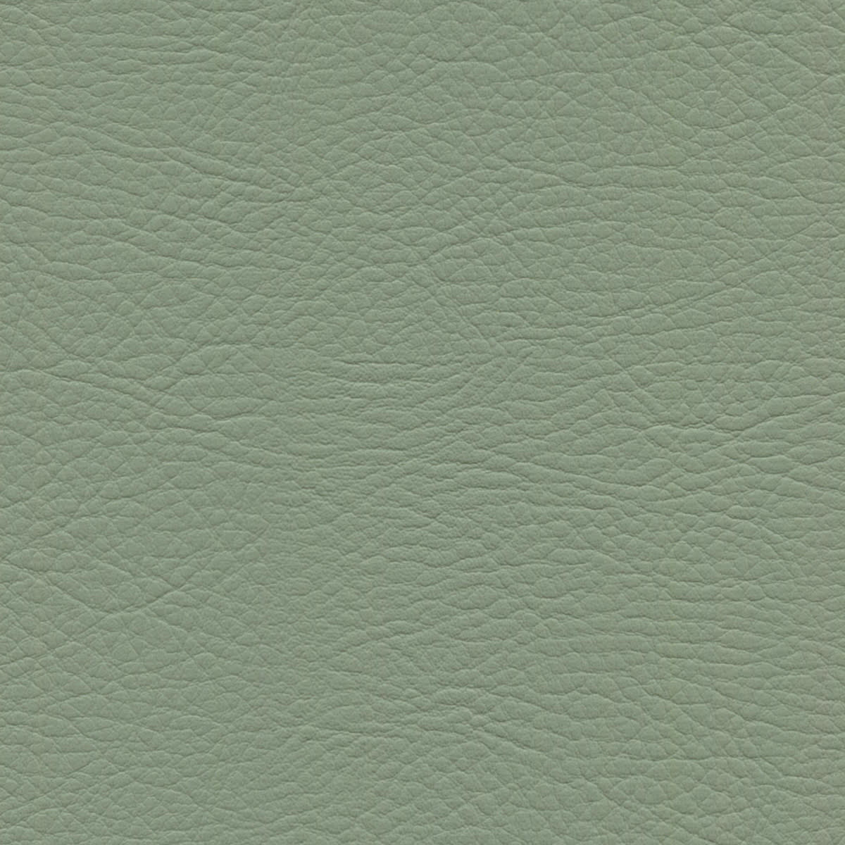 WHI-2178 SILVER LEAF WHI-2178 SILVER LEAF