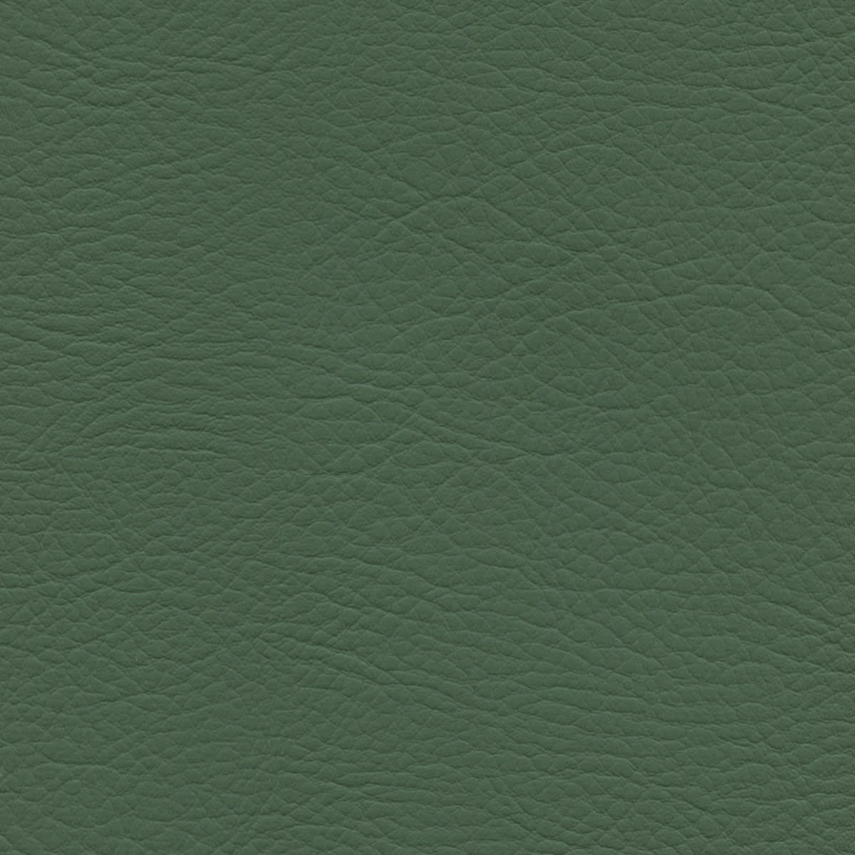 WHI-2179 HERBAL WHI-2179 HERBAL