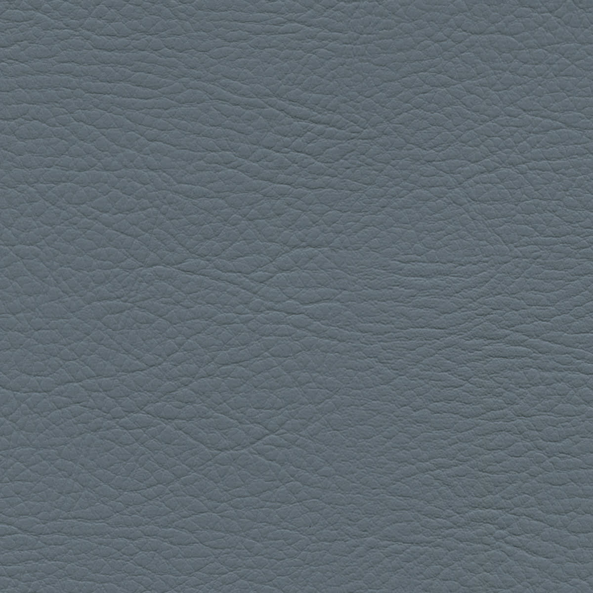 WHI-2181 COASTAL WHI-2181 COASTAL