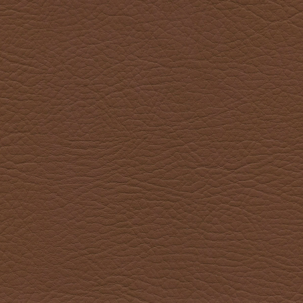 WHI-2182 AUBURN WHI-2182 AUBURN