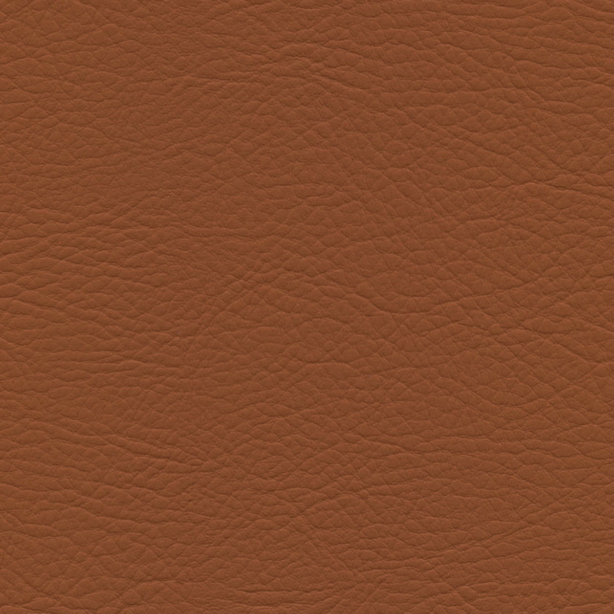 WHI-2183 SADDLE WHI-2183 SADDLE