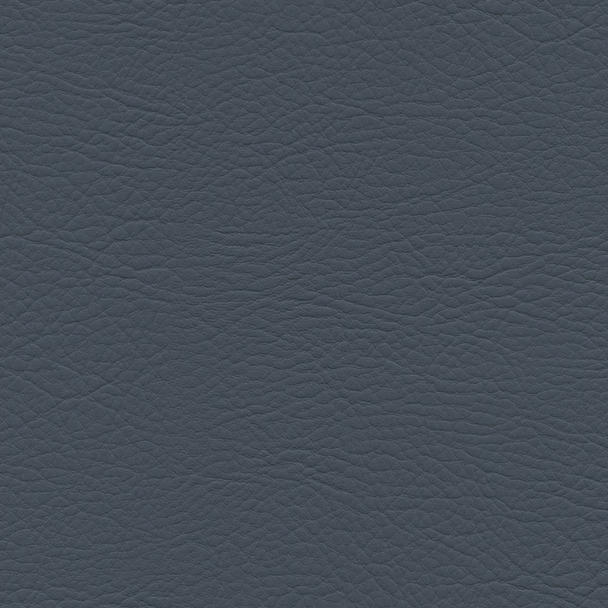 WHI-2184 SLATE WHI-2184 SLATE