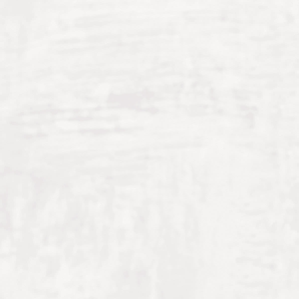 FOSSIL BB-TU-01 FOSSIL BB-TU-01